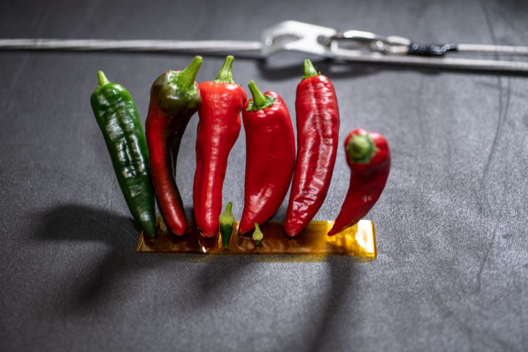 Four chile pepper plants growing inside the Advanced Plant Habitat aboard the International Space Station, shortly before the second and final PH-04 harvest.