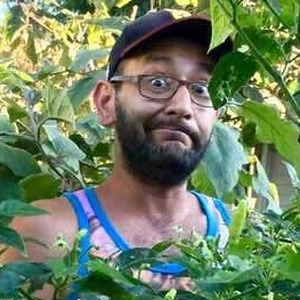 Andy Zamora among pepper plants in his garden
